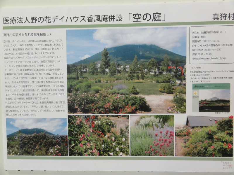 DSC01535.jpg