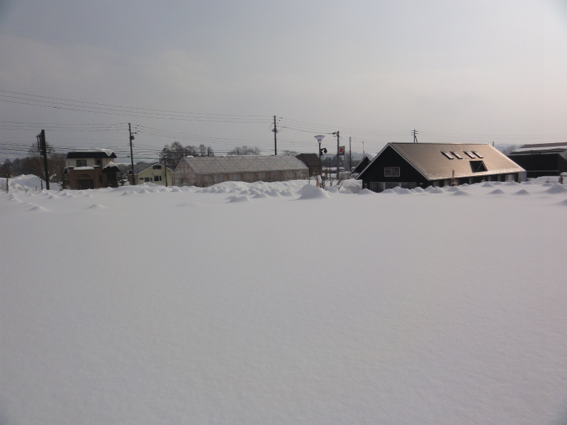 DSC02028.jpg