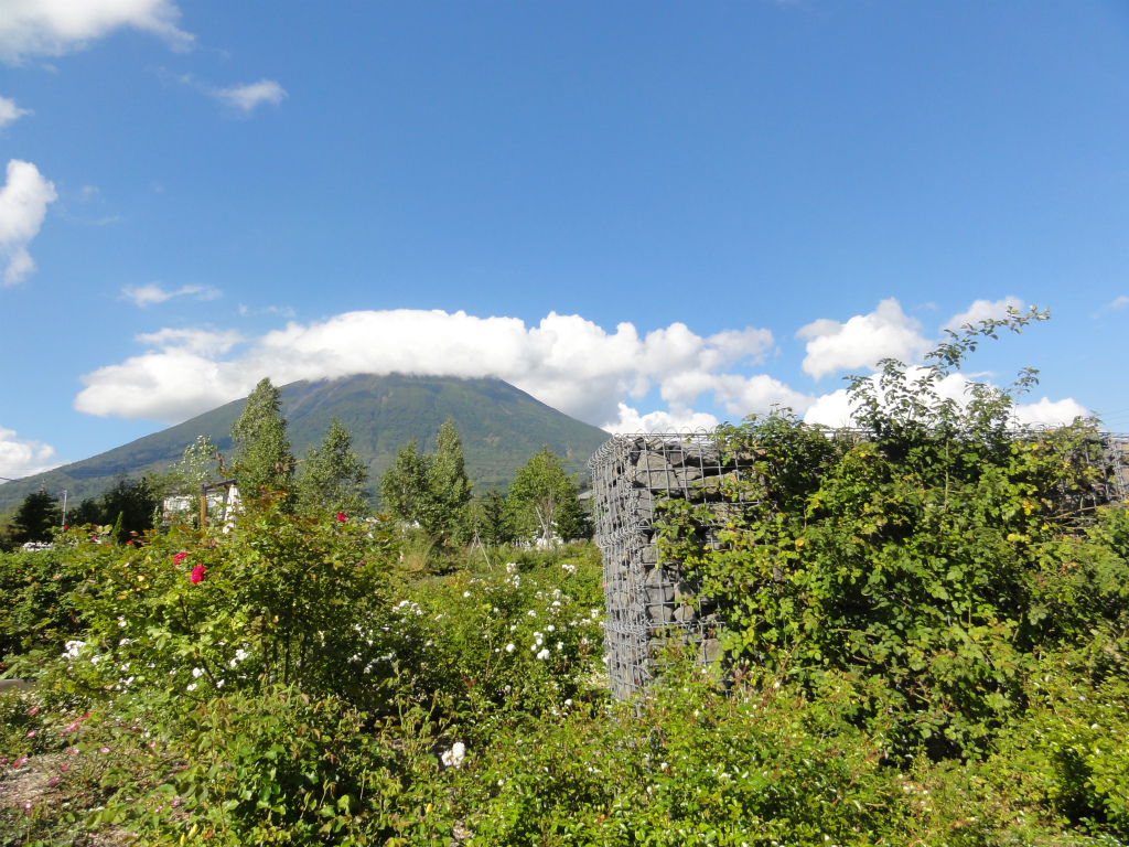 DSC02417.jpg