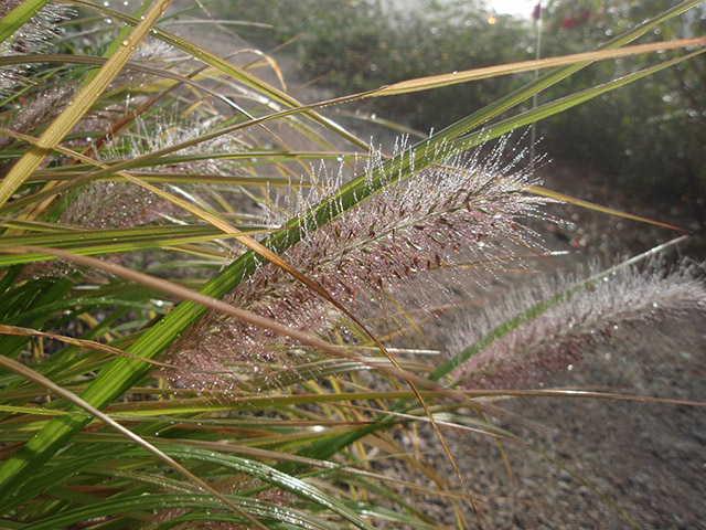 PA040293.JPG