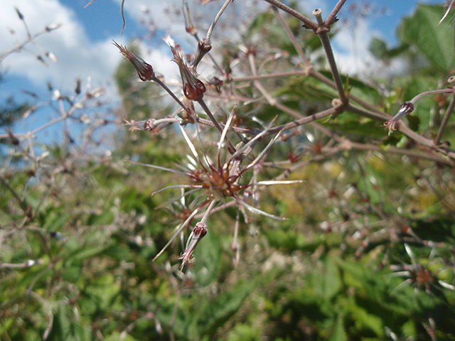PA040301.JPG