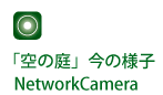 NetworkCamera 「空の庭」の今の様子