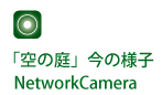 NetworkCamera 「空の庭」の今の様子