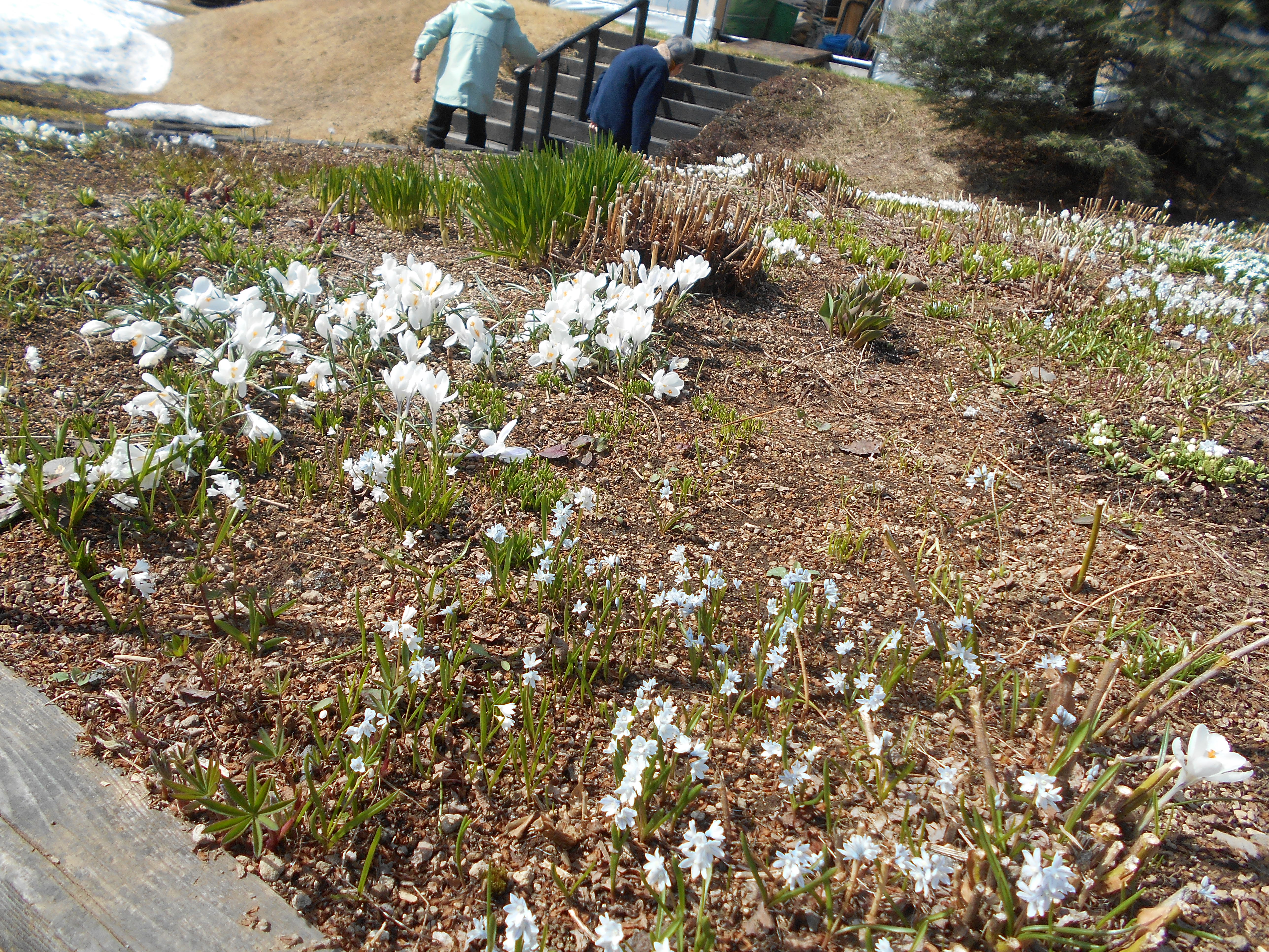 DSCN1229.JPG