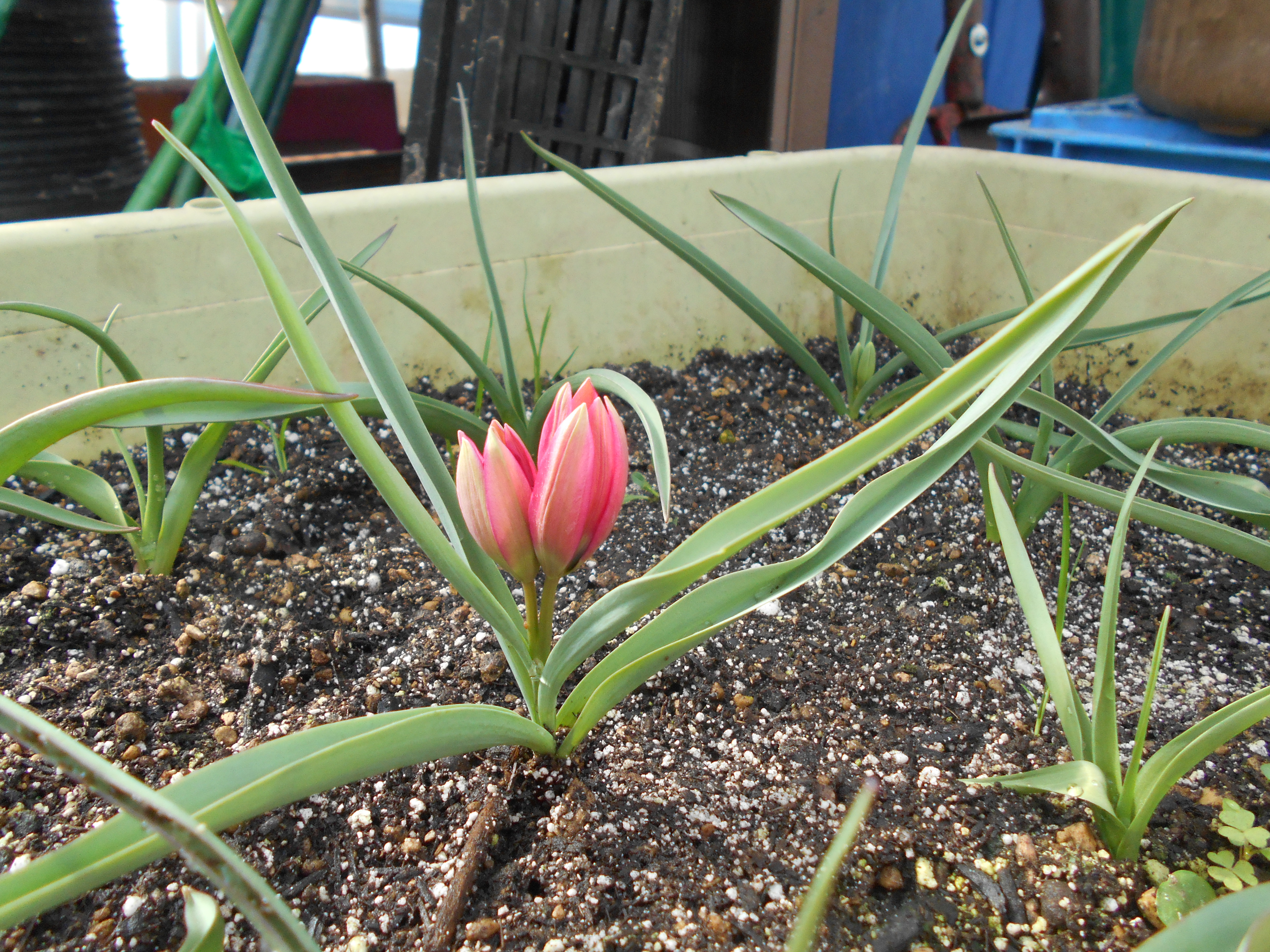 DSCN1232.JPG