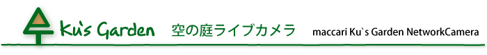 空の庭ライブカメラ