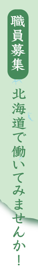 職員募集　北海道で働いてみませんか！