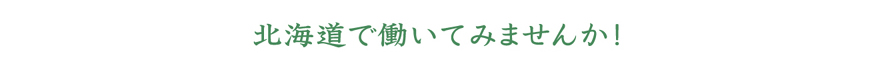 北海道で働いてみませんか！